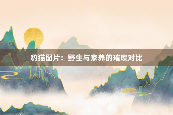 豹猫图片：野生与家养的璀璨对比
