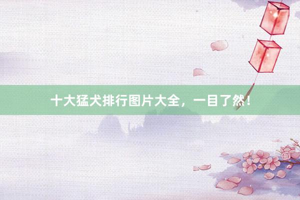 十大猛犬排行图片大全，一目了然！